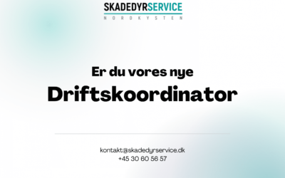 Skadedyrservice Nordkysten søger driftskoordinator